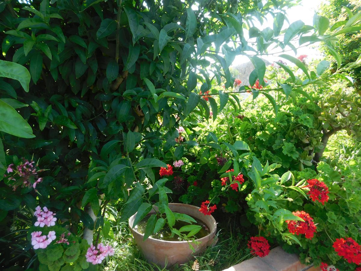 Bed and Breakfast Stella Marina Sea & Sun Cefalú Exterior foto